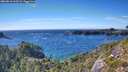 ./images/calvert/foggy-cove/20260818/foggy-cove20260818_165501M.jpg