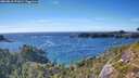 ./images/calvert/foggy-cove/20260818/foggy-cove20260818_171002M.jpg