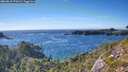 ./images/calvert/foggy-cove/20260818/foggy-cove20260818_172001M.jpg