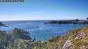 ./images/calvert/foggy-cove/20260818/foggy-cove20260818_173001M.jpg