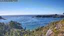 ./images/calvert/foggy-cove/20260818/foggy-cove20260818_173501M.jpg
