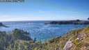 ./images/calvert/foggy-cove/20260818/foggy-cove20260818_174001M.jpg
