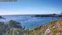 ./images/calvert/foggy-cove/20260818/foggy-cove20260818_174501M.jpg