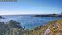 ./images/calvert/foggy-cove/20260818/foggy-cove20260818_175501M.jpg