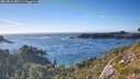 ./images/calvert/foggy-cove/20260818/foggy-cove20260818_180501M.jpg