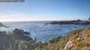 ./images/calvert/foggy-cove/20260818/foggy-cove20260818_183001M.jpg