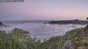 ./images/calvert/foggy-cove/20260819/foggy-cove20260819_061002M.jpg