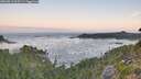 ./images/calvert/foggy-cove/20260819/foggy-cove20260819_063501M.jpg