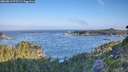 ./images/calvert/foggy-cove/20260819/foggy-cove20260819_075502M.jpg