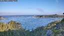 ./images/calvert/foggy-cove/20260819/foggy-cove20260819_080001M.jpg