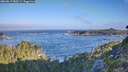 ./images/calvert/foggy-cove/20260819/foggy-cove20260819_080501M.jpg