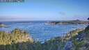 ./images/calvert/foggy-cove/20260819/foggy-cove20260819_081001M.jpg