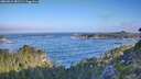 ./images/calvert/foggy-cove/20260819/foggy-cove20260819_081501M.jpg