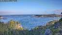 ./images/calvert/foggy-cove/20260819/foggy-cove20260819_082001M.jpg