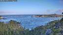 ./images/calvert/foggy-cove/20260819/foggy-cove20260819_082501M.jpg