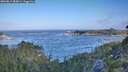 ./images/calvert/foggy-cove/20260819/foggy-cove20260819_083001M.jpg