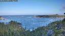 ./images/calvert/foggy-cove/20260819/foggy-cove20260819_084001M.jpg