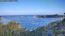 ./images/calvert/foggy-cove/20260819/foggy-cove20260819_084501M.jpg