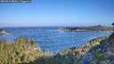 ./images/calvert/foggy-cove/20260819/foggy-cove20260819_085001M.jpg
