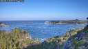 ./images/calvert/foggy-cove/20260819/foggy-cove20260819_085501M.jpg