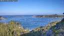./images/calvert/foggy-cove/20260819/foggy-cove20260819_090501M.jpg