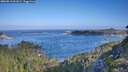 ./images/calvert/foggy-cove/20260819/foggy-cove20260819_091001M.jpg