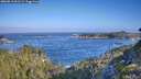 ./images/calvert/foggy-cove/20260819/foggy-cove20260819_091501M.jpg