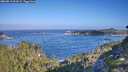 ./images/calvert/foggy-cove/20260819/foggy-cove20260819_092001M.jpg
