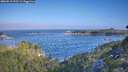 ./images/calvert/foggy-cove/20260819/foggy-cove20260819_092501M.jpg
