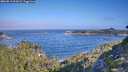 ./images/calvert/foggy-cove/20260819/foggy-cove20260819_093001M.jpg