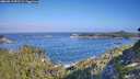 ./images/calvert/foggy-cove/20260819/foggy-cove20260819_093501M.jpg