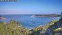 ./images/calvert/foggy-cove/20260819/foggy-cove20260819_094001M.jpg