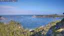 ./images/calvert/foggy-cove/20260819/foggy-cove20260819_094502M.jpg