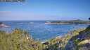 ./images/calvert/foggy-cove/20260819/foggy-cove20260819_095001M.jpg