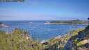 ./images/calvert/foggy-cove/20260819/foggy-cove20260819_095501M.jpg