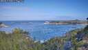 ./images/calvert/foggy-cove/20260819/foggy-cove20260819_100001M.jpg