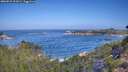 ./images/calvert/foggy-cove/20260819/foggy-cove20260819_101001M.jpg