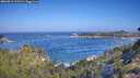 ./images/calvert/foggy-cove/20260819/foggy-cove20260819_101501M.jpg