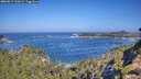 ./images/calvert/foggy-cove/20260819/foggy-cove20260819_102001M.jpg