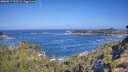 ./images/calvert/foggy-cove/20260819/foggy-cove20260819_102501M.jpg