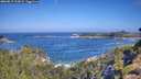 ./images/calvert/foggy-cove/20260819/foggy-cove20260819_103001M.jpg