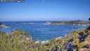 ./images/calvert/foggy-cove/20260819/foggy-cove20260819_103501M.jpg