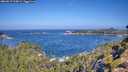 ./images/calvert/foggy-cove/20260819/foggy-cove20260819_104002M.jpg