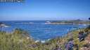 ./images/calvert/foggy-cove/20260819/foggy-cove20260819_104501M.jpg