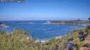 ./images/calvert/foggy-cove/20260819/foggy-cove20260819_105002M.jpg