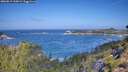 ./images/calvert/foggy-cove/20260819/foggy-cove20260819_110002M.jpg