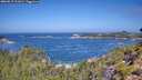 ./images/calvert/foggy-cove/20260819/foggy-cove20260819_111001M.jpg