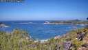 ./images/calvert/foggy-cove/20260819/foggy-cove20260819_111501M.jpg