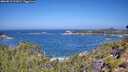 ./images/calvert/foggy-cove/20260819/foggy-cove20260819_112001M.jpg