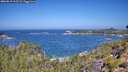 ./images/calvert/foggy-cove/20260819/foggy-cove20260819_112501M.jpg
